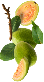 Imagem Flutuante direita