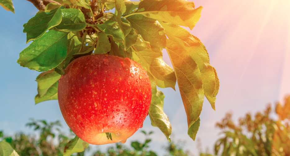 BRILHE MUITO NESTE VERÃO